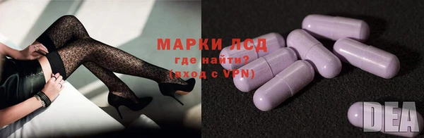 стаф Алексин