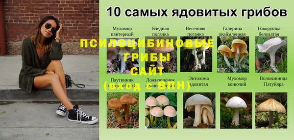 мяу мяу кристалл Аркадак