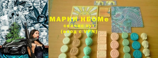 индика Армянск