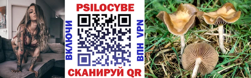 Галлюциногенные грибы Magic Shrooms  Навашино 